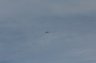 _MG_5794.JPG - 