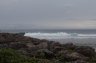 _MG_5951.JPG - 