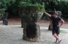 _MG_6012.JPG - 