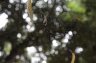 _MG_6015.JPG - 