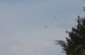 _MG_6234.JPG - 
